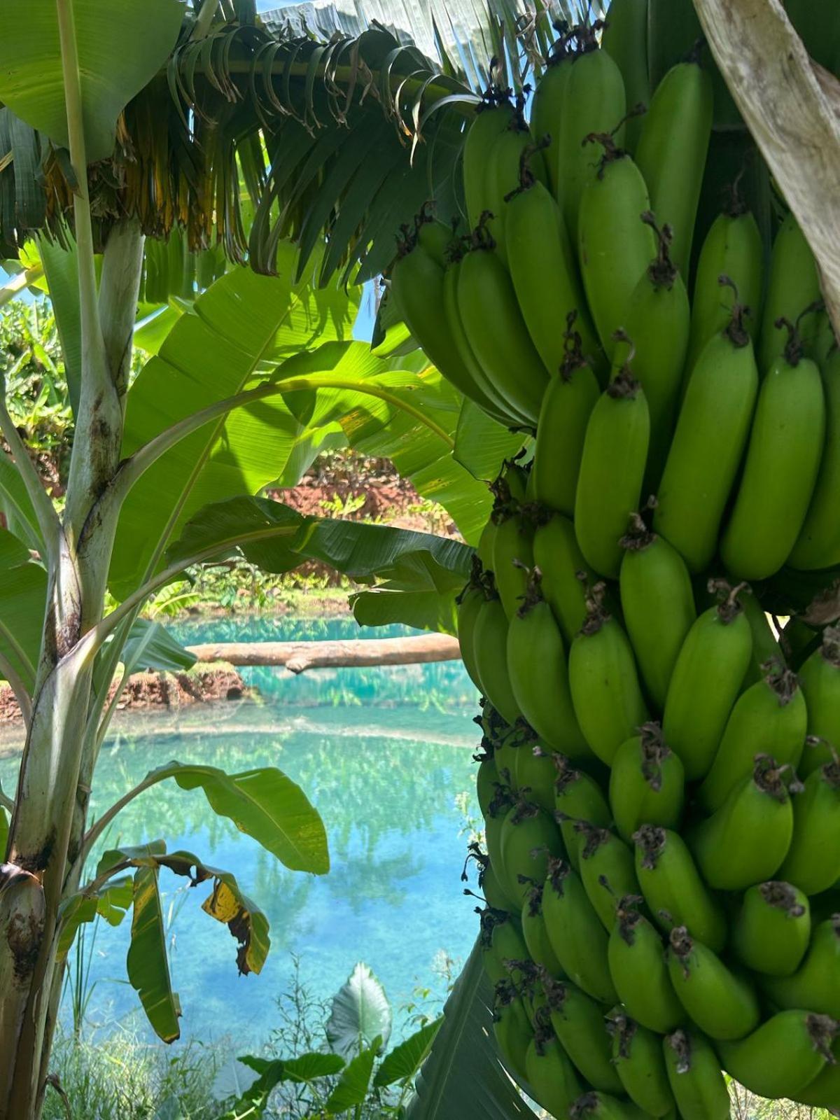 Fazenda Brotas Sp Otel Dış mekan fotoğraf
