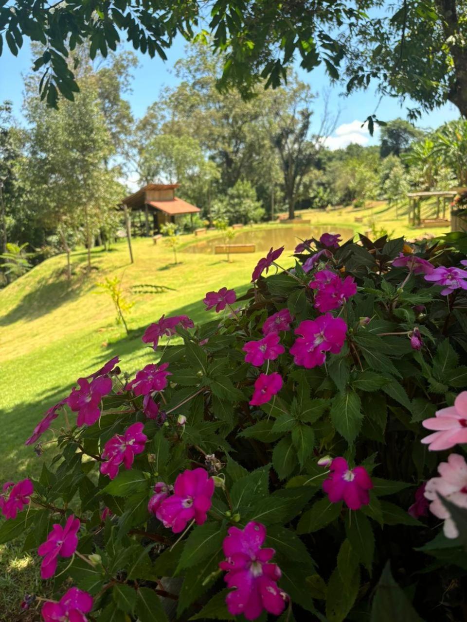 Fazenda Brotas Sp Otel Dış mekan fotoğraf